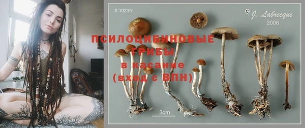 сатива Верея