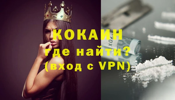 сатива Верея