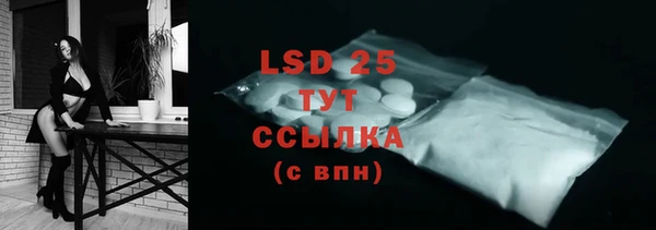сатива Верея