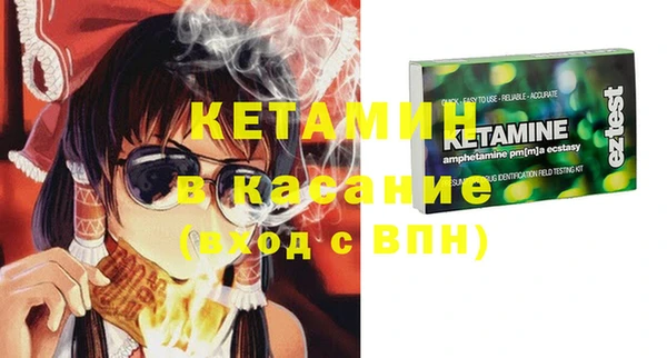 сатива Верея