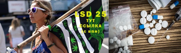 сатива Верея